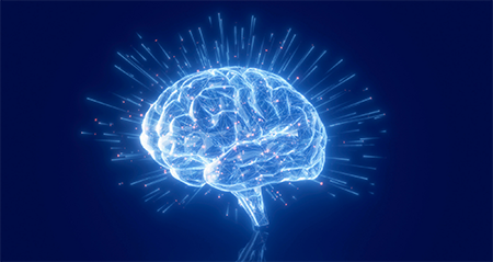 Digital style graphic of human brain